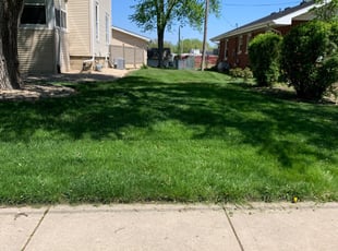Rebecca C.'s Lawn Maintenance service result