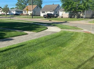 Bunny A.'s Lawn Service service result