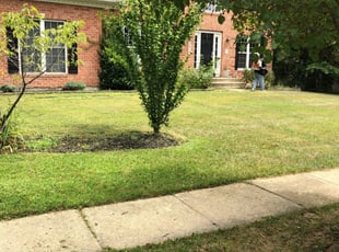 Kristen W.'s Lawn Service service result