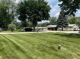 Titi P.'s Lawn Service service result