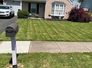 Laqunda W.'s Lawn Mowing service result