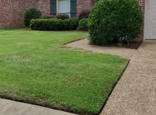 Megan B.'s Lawn Service service result
