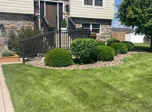 Amy J.'s Lawn Mowing Service service result