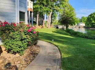 Rita G.'s Lawn Mowing service result