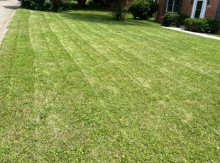 Joseph A.'s Yard Cutting service result