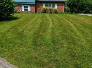 Kimmie B.'s Lawn Care service result
