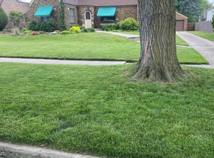 Hallie M.'s Lawn Care service result