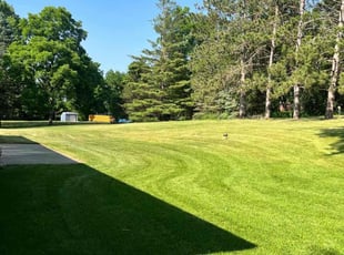Sudha R.'s Lawn Service service result