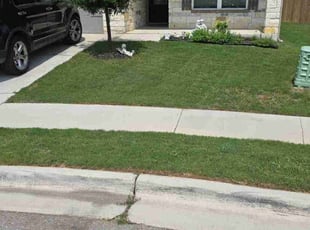 Justin T.'s Yard Cutting service result