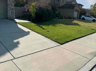 Ashok P.'s Lawn Mowing Service service result