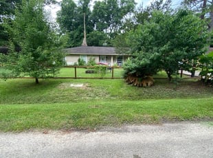 Steven R.'s Lawn Maintenance service result