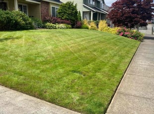 Amanda h.'s Lawn Mowing service result