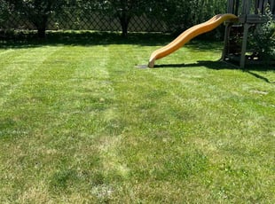 Yvonne M.'s Grass Cutting service result