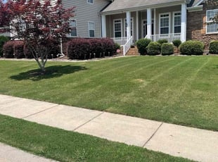 Kelton R.'s Lawn Mowing Service service result