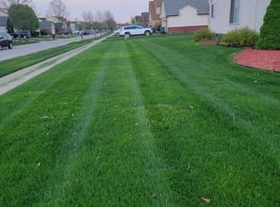 Elizabeth F.'s Lawn Mowing service result