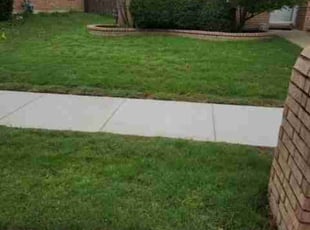Dorothy E.'s Lawn Mowing Service service result