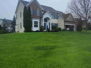 Jorae H.'s Lawn Mowing service result