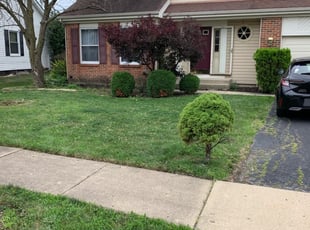 Constance M.'s Lawn Mowing service result