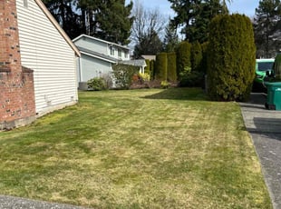 Diana R.'s Lawn Care service result
