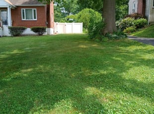 Mary W.'s Lawn Mowing service result