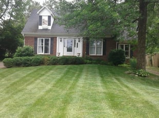 Ileana V.'s Grass Cutting service result