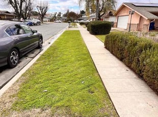 Jess V.'s Lawn Care service result