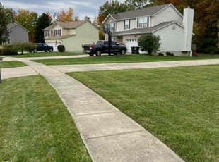 Julie S.'s Lawn Mowing service result