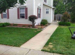 Emmett W.'s Lawn Mowing service result