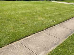 Alex V.'s Lawn Service service result