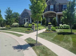 Ray W.'s Lawn Mowing Service service result