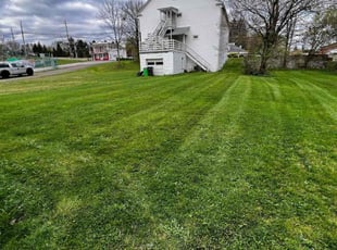 Melissa R.'s Lawn Care service result