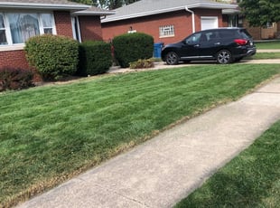 JOSH C.'s Grass Cutting service result