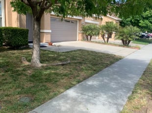 Kristen M.'s Grass Cutting service result