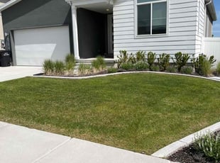 Greg T.'s Grass Cutting service result
