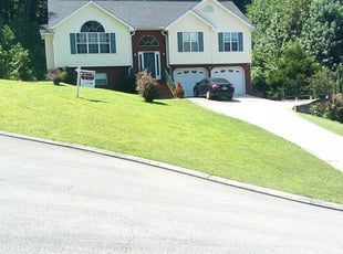 Abigail F.'s Lawn Care service result