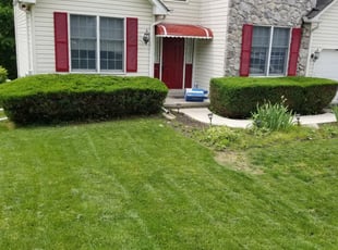 Sandy P.'s Lawn Service service result