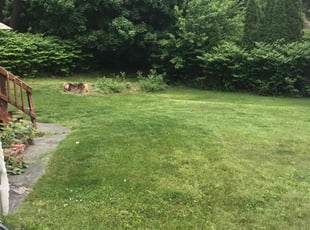 Carla P.'s Lawn Mowing service result