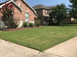 Bruce N.'s Grass Cutting service result
