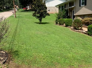 JJoel B.'s Lawn Mowing service result