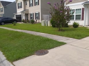 Louene A.'s Lawn Mowing Service service result