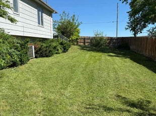 D G.'s Lawn Service service result