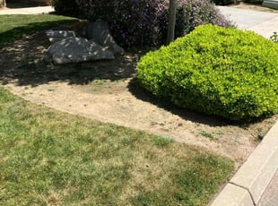 Jeff S.'s Grass Cutting service result