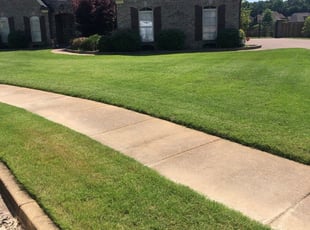Jessica P.'s Lawn Care service result