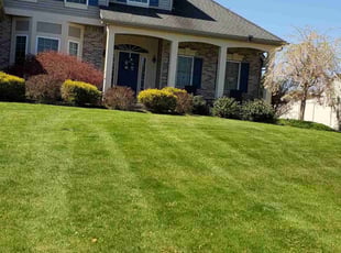 Vonetta W.'s Lawn Service service result