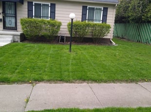 Trent F.'s Lawn Service service result