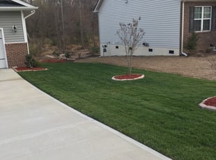Nancy L.'s Lawn Mowing service result