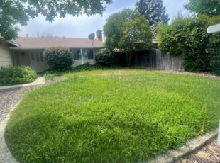 Michael B.'s Lawn Mowing service result