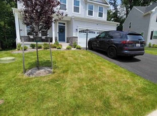 Whitney L.'s Lawn Care service result