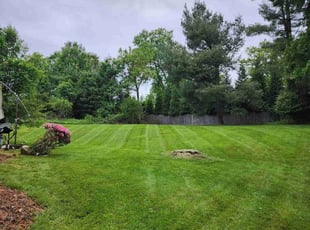 Stan C.'s Lawn Mowing service result