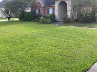 Brad B.'s Lawn Mowing service result